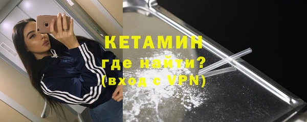 крисы Бородино