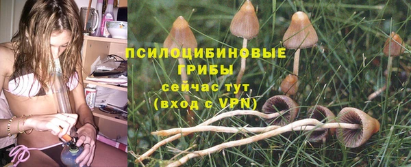 дживик Бугульма