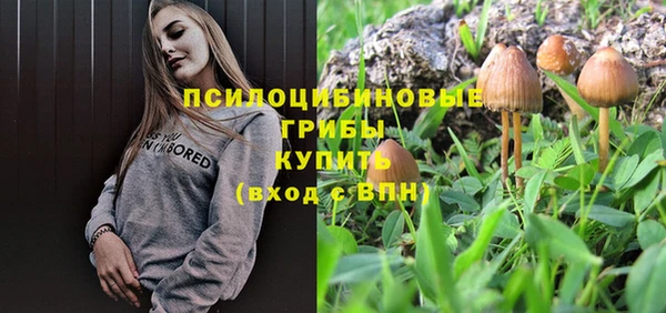 мяу мяу мука Верхнеуральск