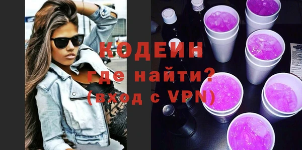 крисы Бородино