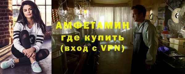 крисы Бородино