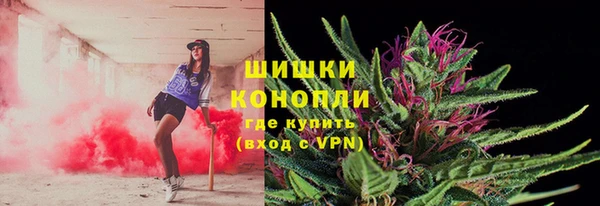 шишки Верхний Тагил