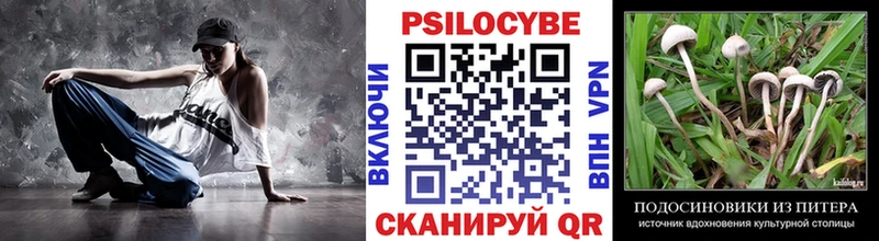 Купить где  Кораблино  Галлюциногенные грибы Cubensis 